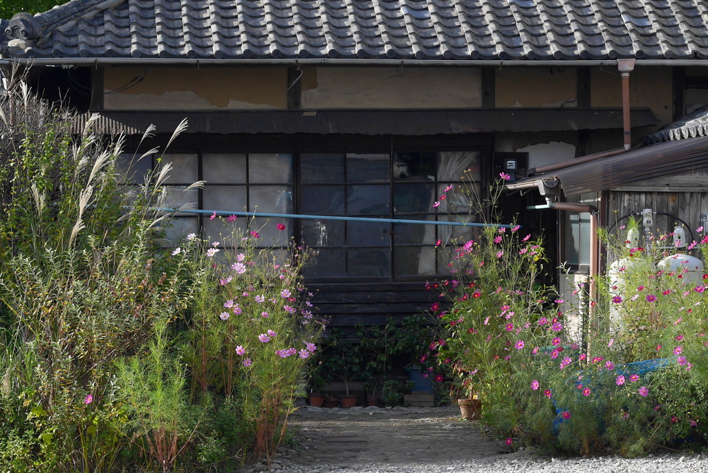 Nostalgic Town Walk10：花の門