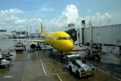 2025 US旅日記８：Houstonにて４：Spirit Airlines