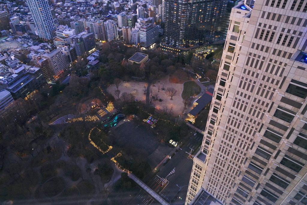 写真エッセイ：東京散歩34：東京都庁８：新宿中央公園