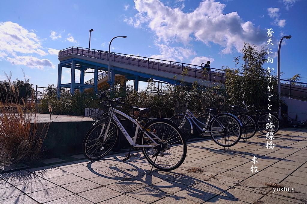 写真句：跨線橋：NTW491