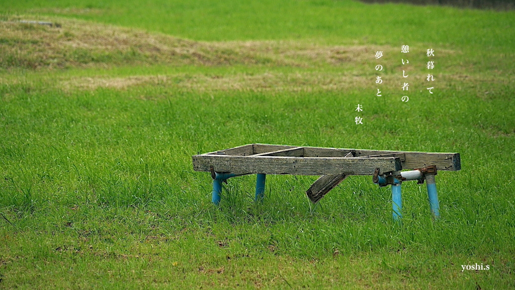 写真句：公園のベンチ