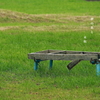 写真句：公園のベンチ