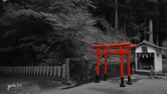写真エッセイ：温泉神社４：稲荷神社：B&W