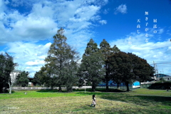 写真句：天高し