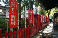 写真エッセイ：上野下谷神社１