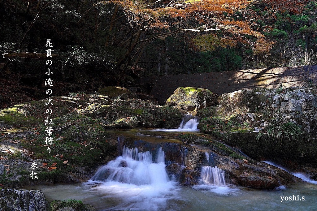 写真句：花貫渓谷紅葉狩り2023 その20：渓流３