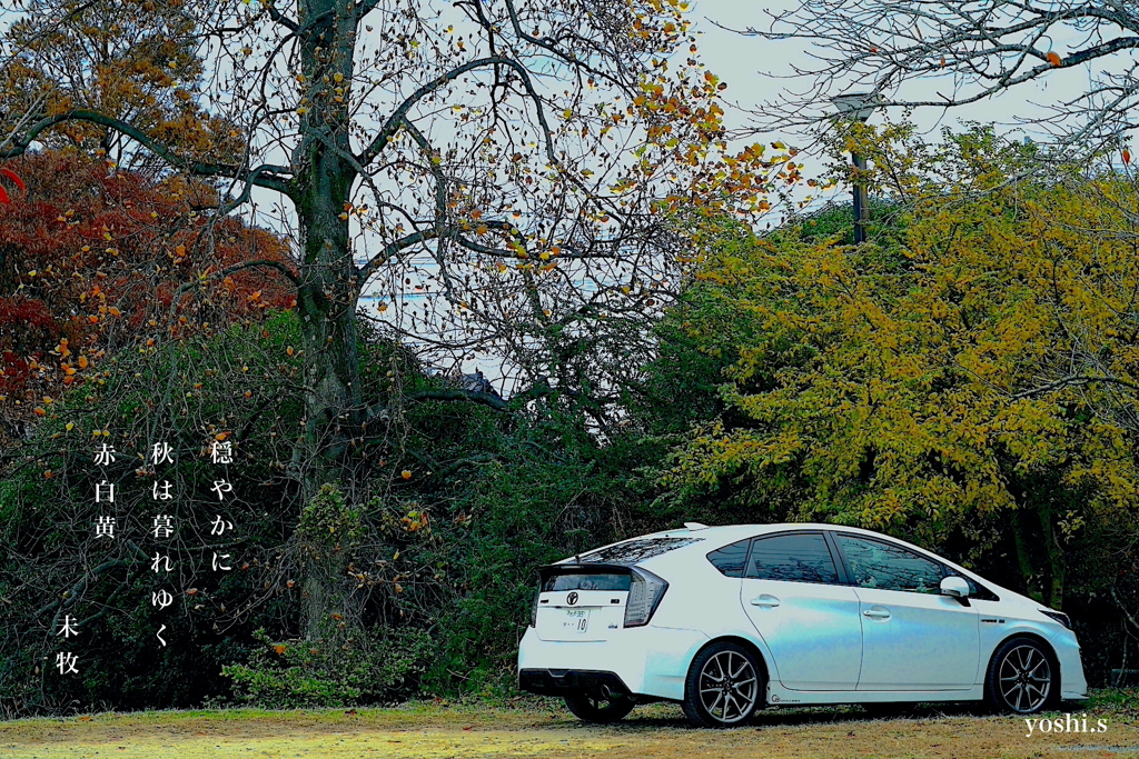 写真句：カラフル写ん歩８： 赤白黄