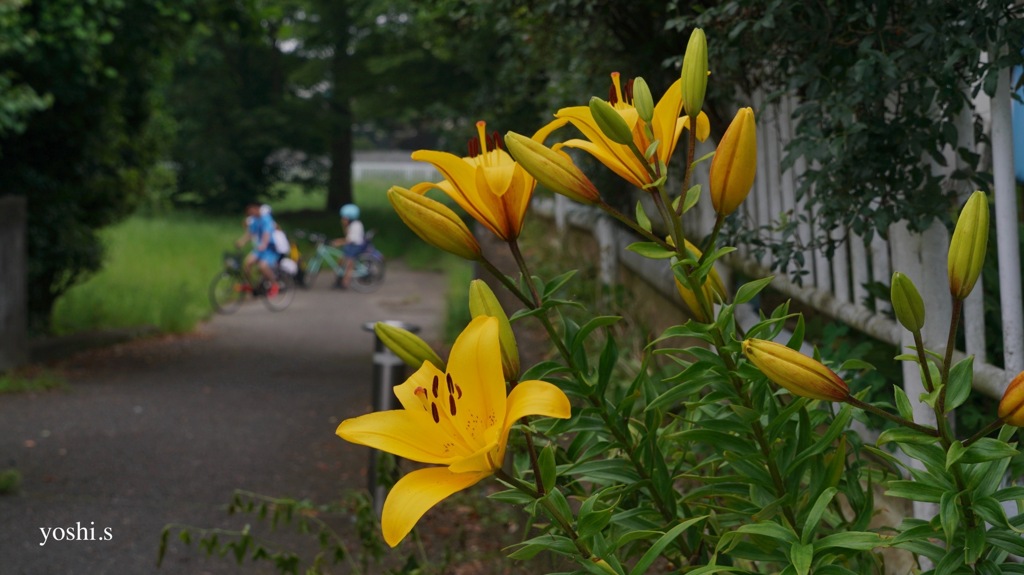 写真句：子らの声