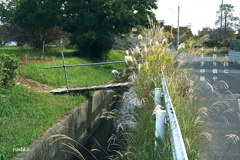 写真句：手作り橋