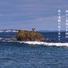 写真歌：写真エッセイ：海鵜（うみう）