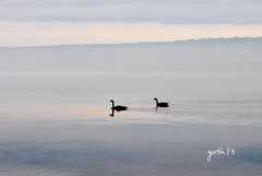 写真歌：Cayuga Lake８