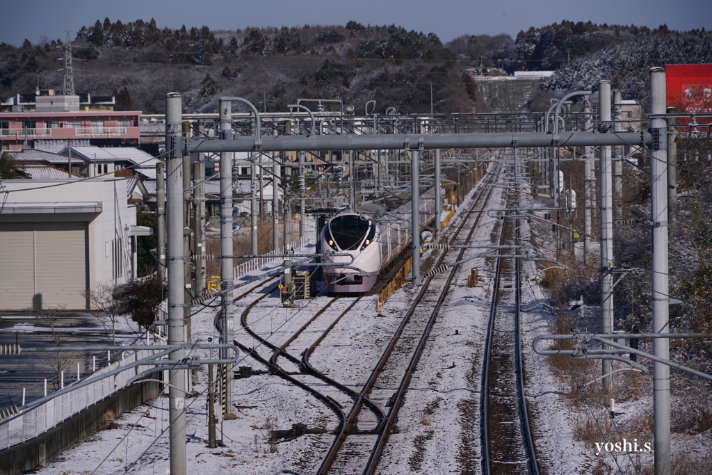 写真句：White train in white：NTW408