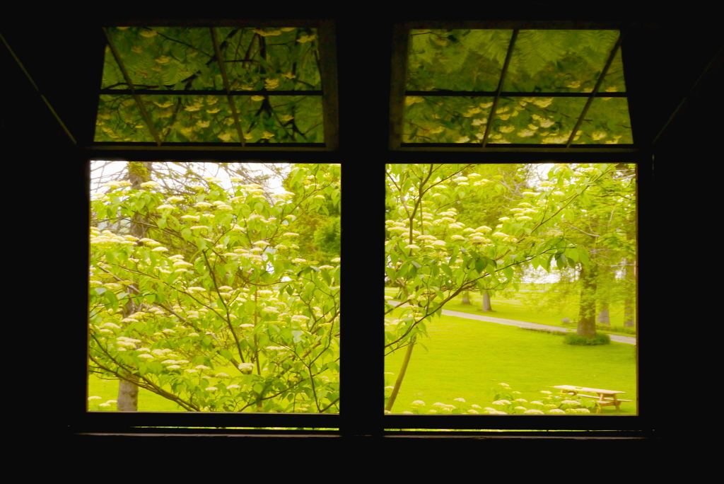 カユガ湖の朝2015：窓１