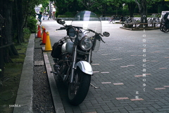 写真句；ハーレー＃２
