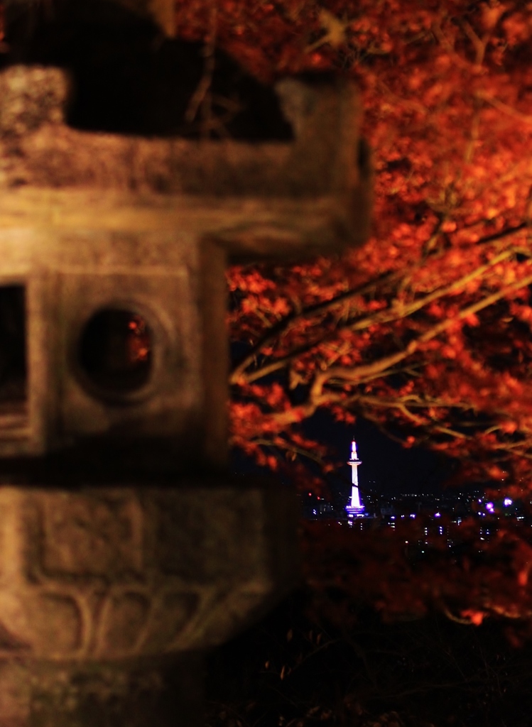 【Kyoto Tower】