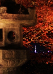 【Kyoto Tower】
