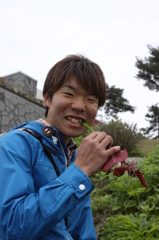 【草食ってる】