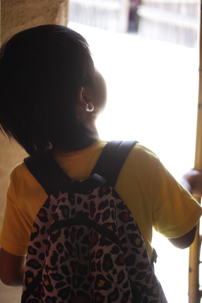 【建てつけの確認】