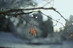 【雪舞う朝日】