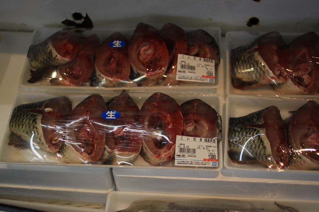 【鮮魚コーナー】