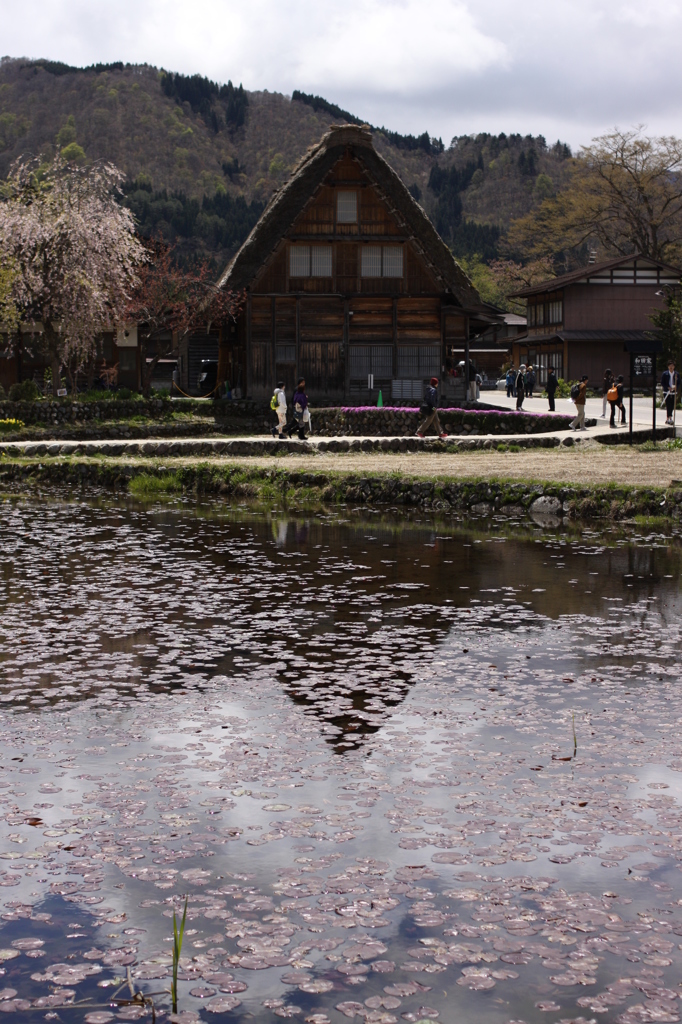 【逆さ合掌？】