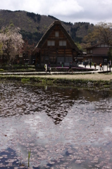 【逆さ合掌？】