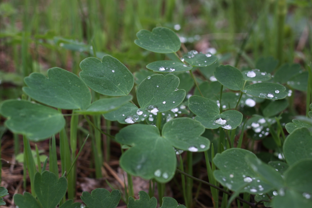 【もっと近づきたい】