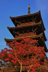 【西日浴】