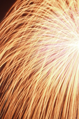 【入りきらんわ^^;】