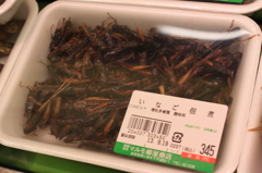 【バッタは食べれる？】