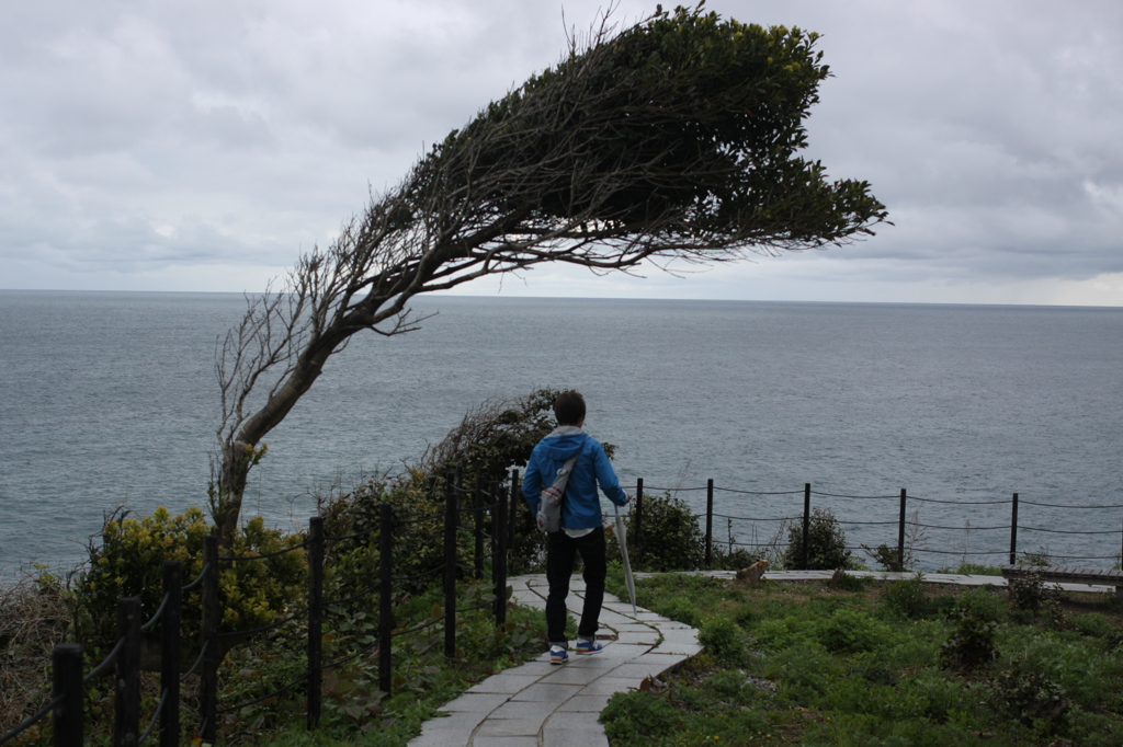 【聖域への門】