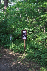 【くまァッ!?!?】