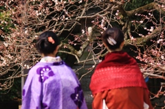 【梅 二凛】