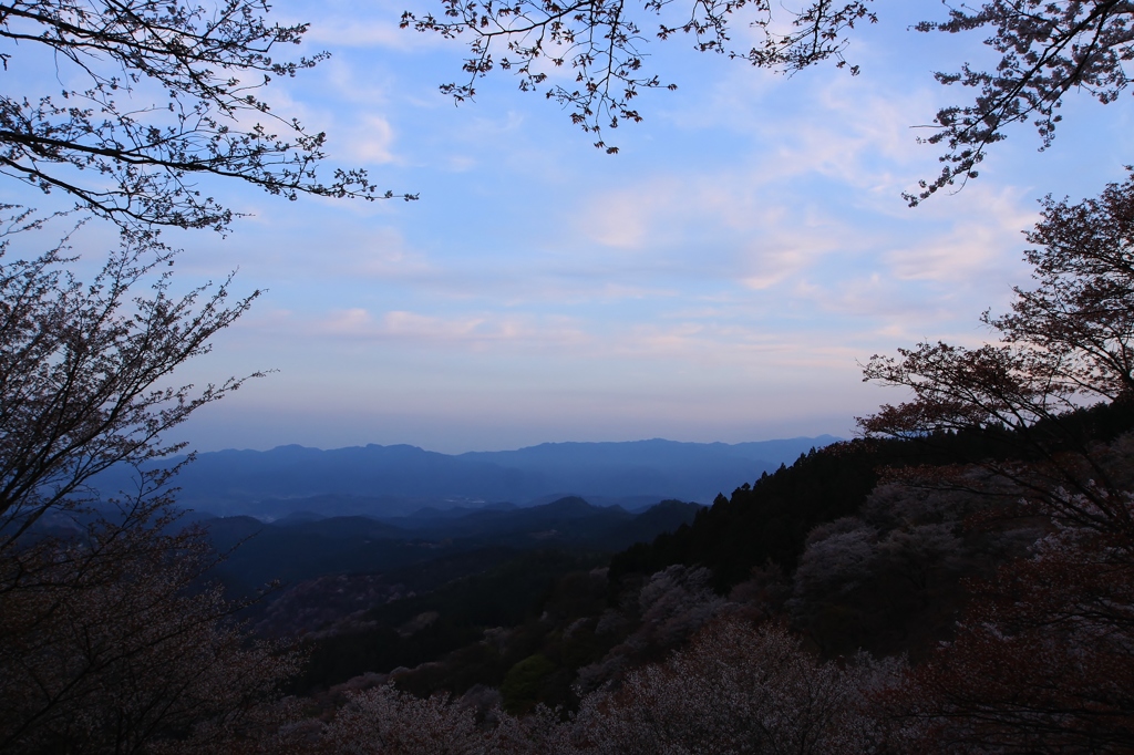 【吉野の朝】