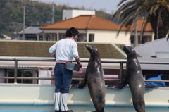 【仕事の後、３人で外を眺めながらの一休憩】