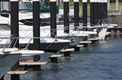 【スターティンググリッド】