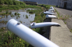 【ぐんにゃり】