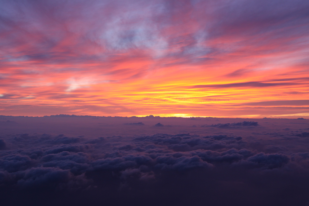 【キタキター！】