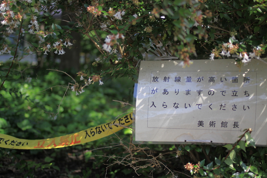 【Ｋｅｅｐ ｏｕｔ】