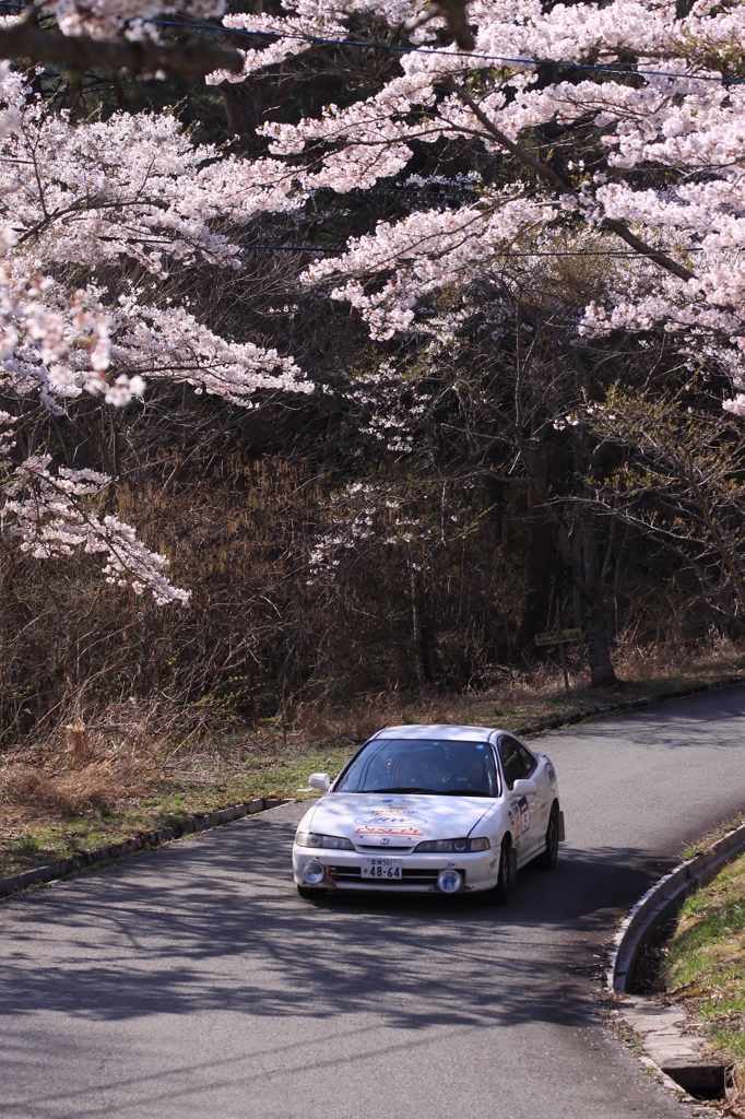 【桜門】