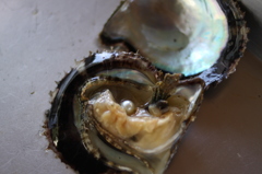 【天然物】