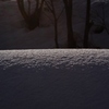 【Virgin Snow】