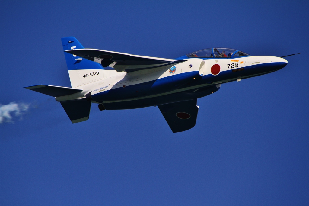 【BLUE DOLPHIN】