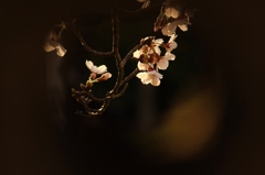 【のぞき見】