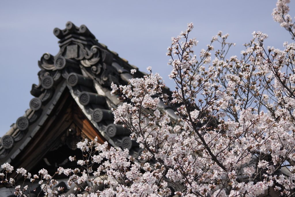 ぼーえんレンズにて　　うまいこと撮れた＾＾