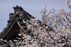 ぼーえんレンズにて　　うまいこと撮れた＾＾