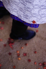 【紅葉のブローチ】