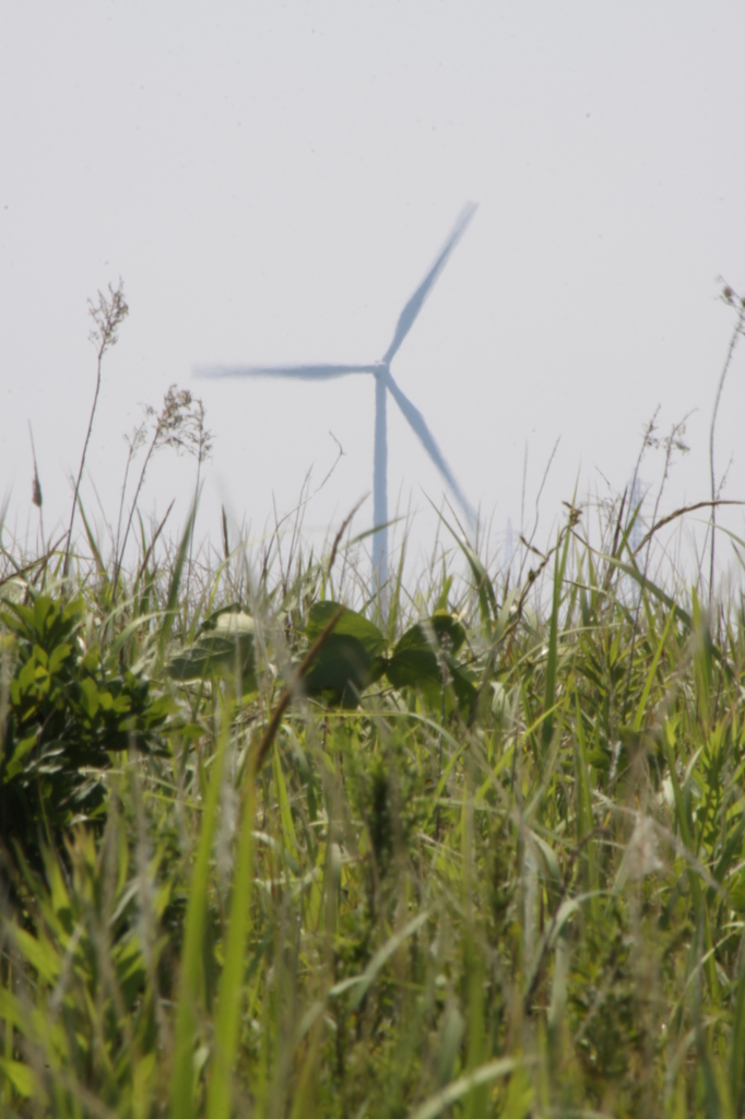 【草むらの扇風機】