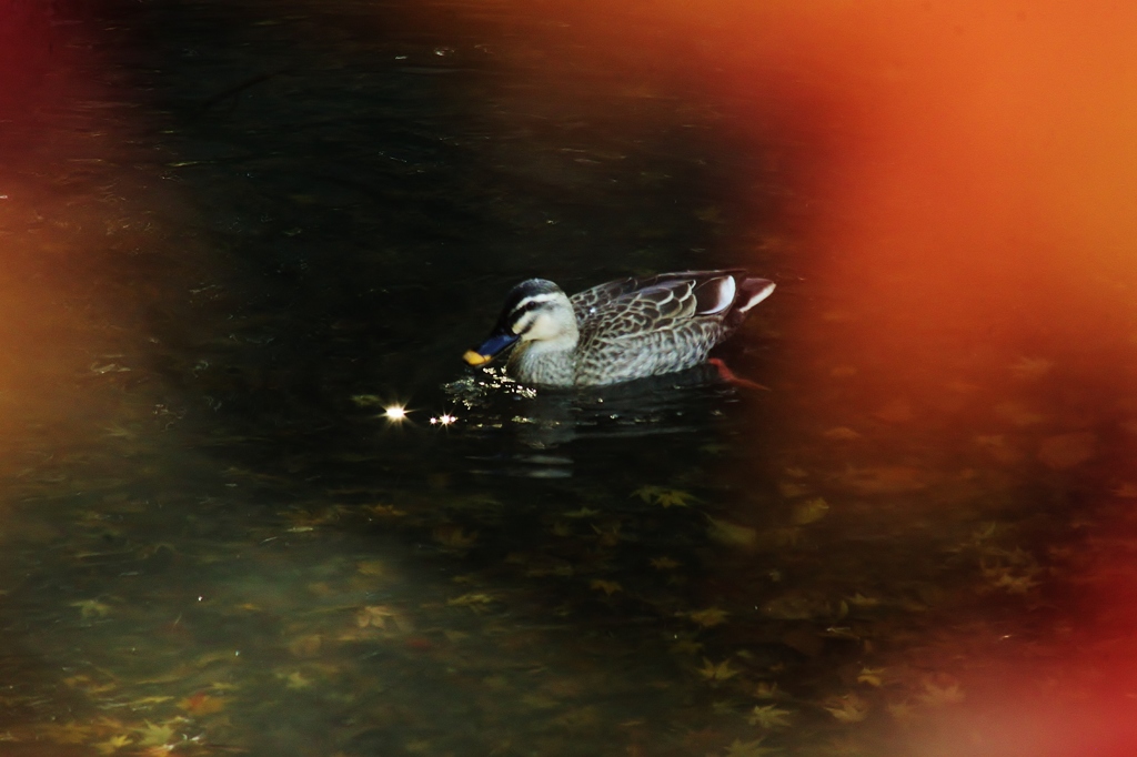 【そーーーぉ】