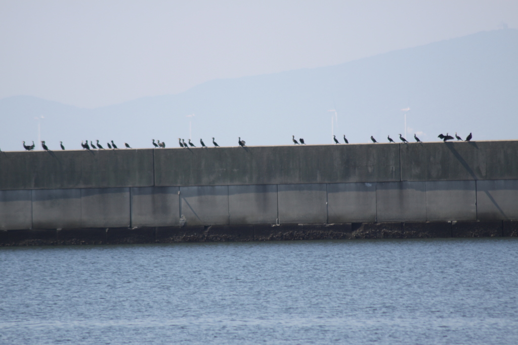 【ガン首そろえて】